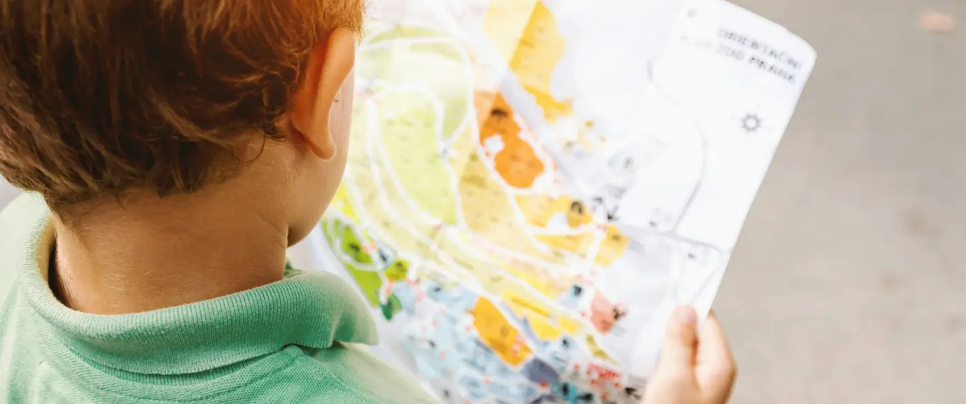 Best Primary Schools in Canberra ACT 2025 School Rankings