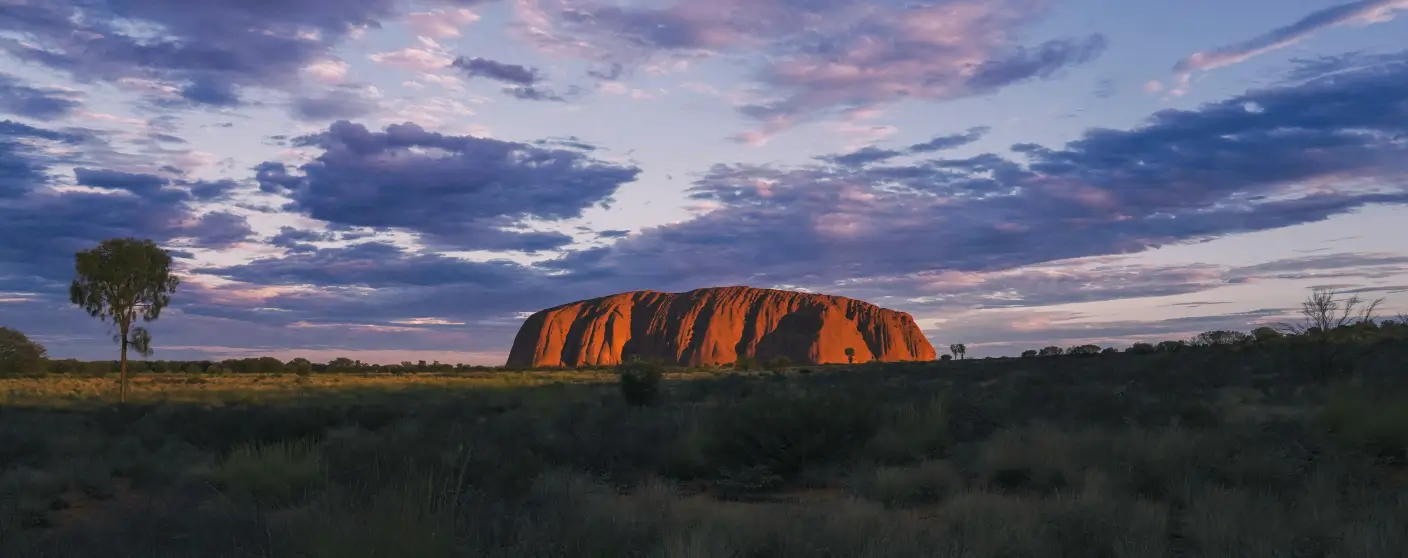 Best Primary Schools in Darwin NT 2024 | Detailed Breakdown